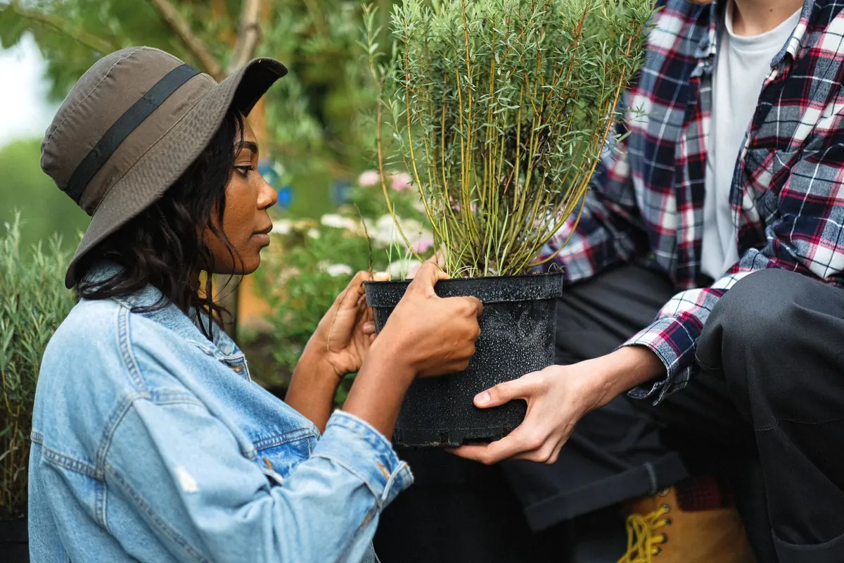 Checklist: 10 Things to Know Before Joining a Liverpool Community Garden